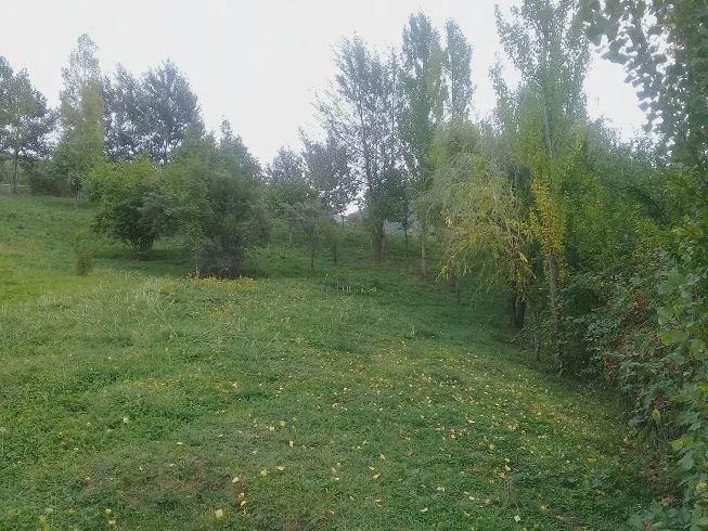 Torpaq satılır İsmayıllı — Torpaq, Bakı (2)