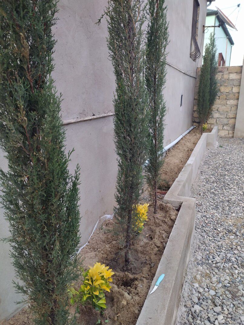 For sale: 3-room house / Cottage / Villa, 125 m² — Ev, villa, Bakı (9)