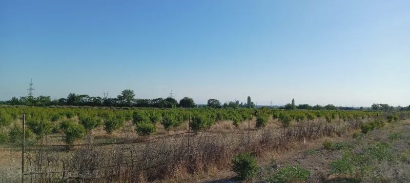 Torpaq satılır — Göyçay — Torpaq, Göyçay (3)