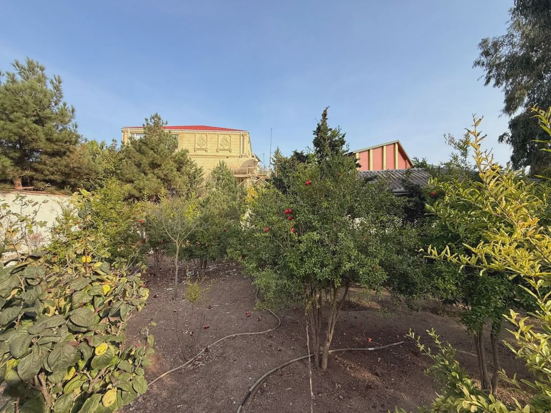 Satılık arsa, 4 sot — Torpaq, Bakı (4)