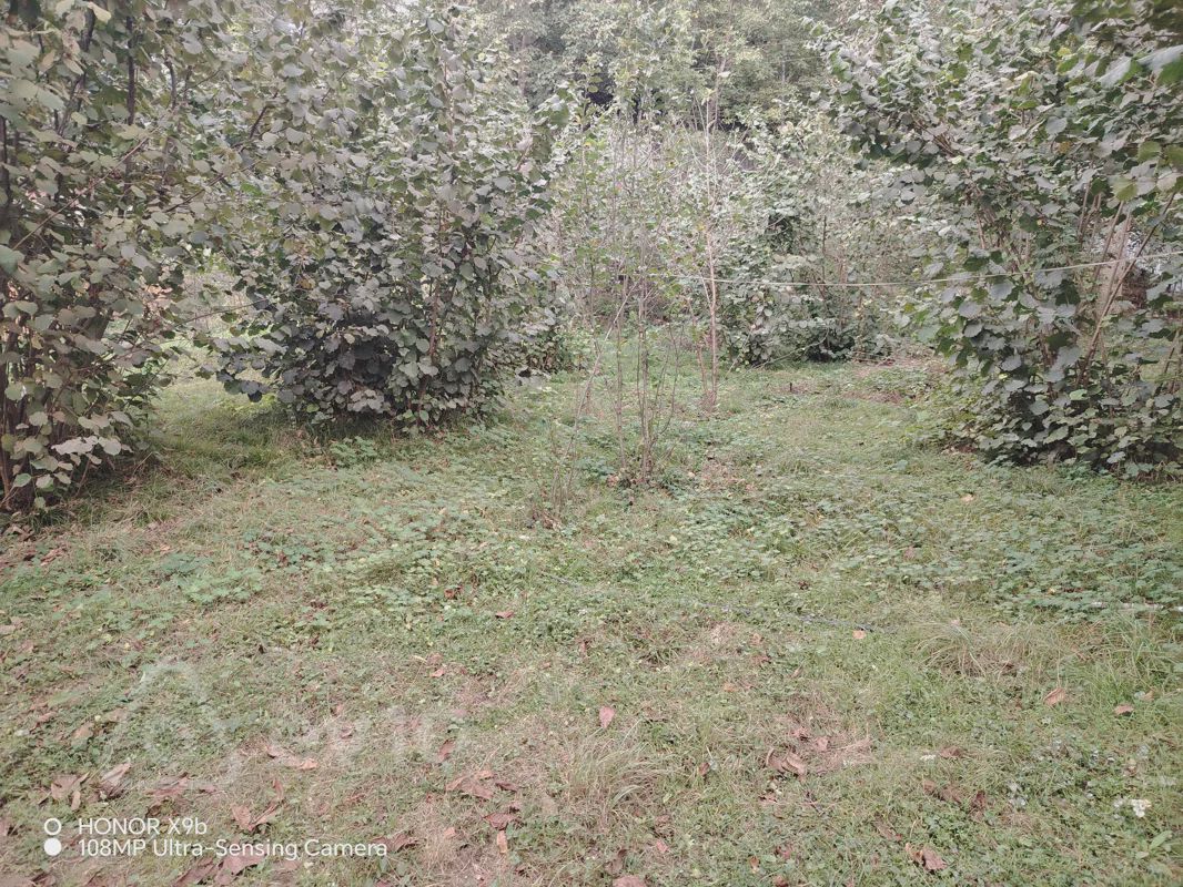 For sale: land, 20 sot — Torpaq, Quba (3)