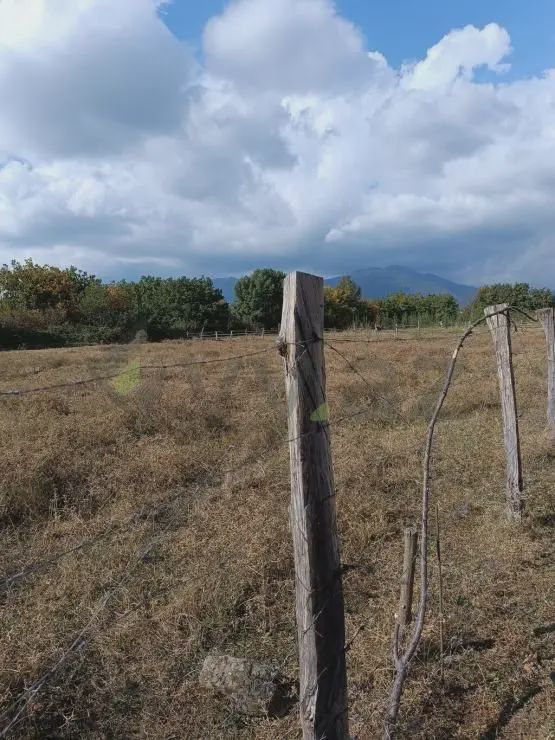 Torpaq satılır Qəbələ ş — Torpaq, Bakı (12)