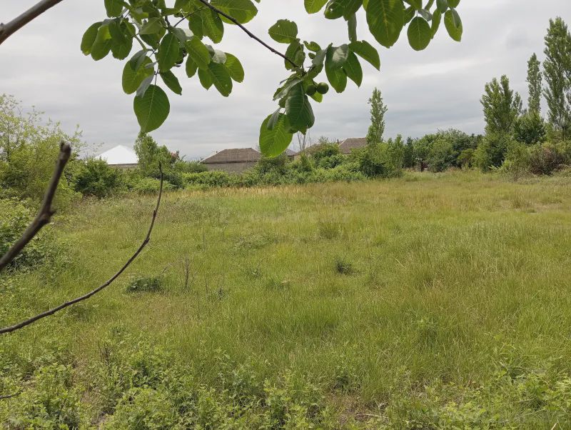 Torpaq satılır — Xaçmaz — Torpaq, Xaçmaz (5)