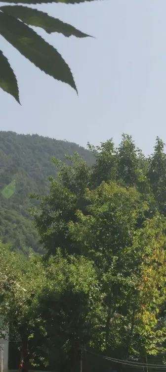 Torpaq satılır Qəbələ ş — Torpaq, Bakı (2)