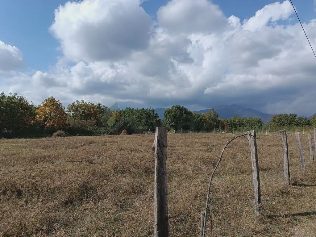 Torpaq satılır Qəbələ ş — Torpaq, Bakı (3)