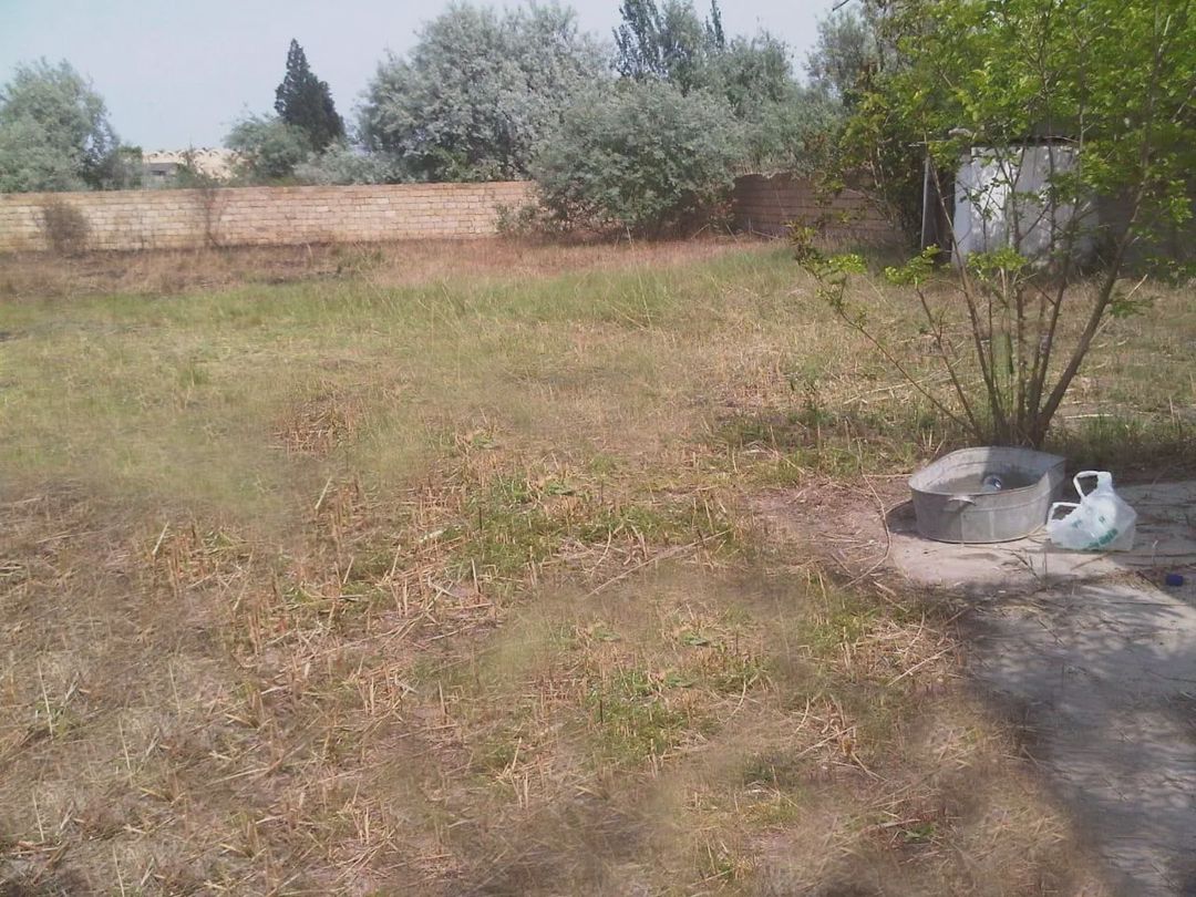 Torpaq satılır Novxanı — Torpaq, Bakı (4)