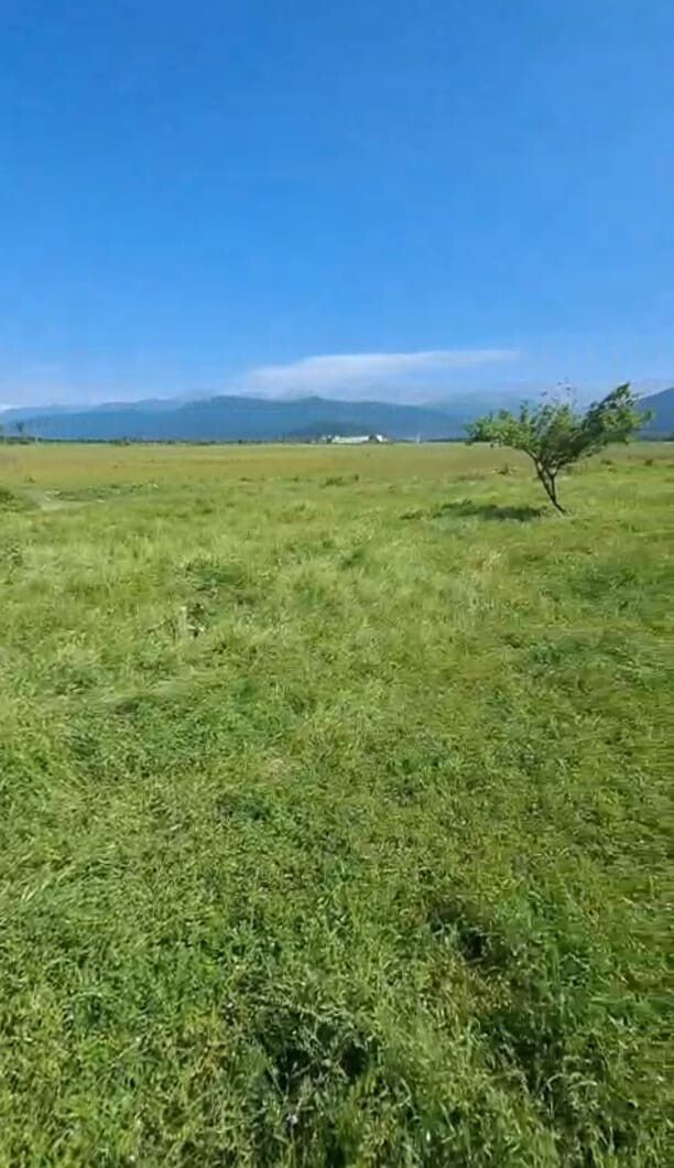 For sale: commercial property, 600 m² — Əmlak, Bakı (6)