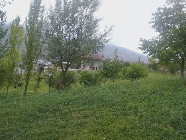 Torpaq satılır İsmayıllı — Torpaq, Bakı (11)