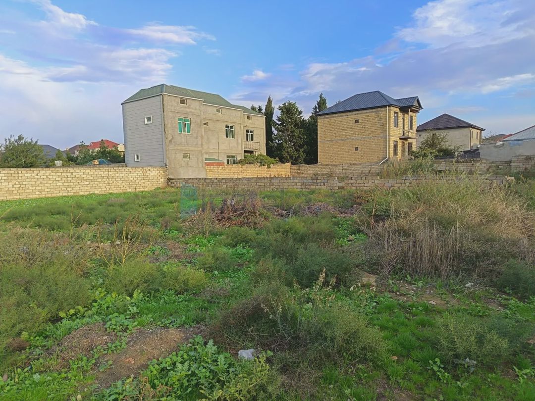 For sale: land, 6 sot — Torpaq, Masazır (5)