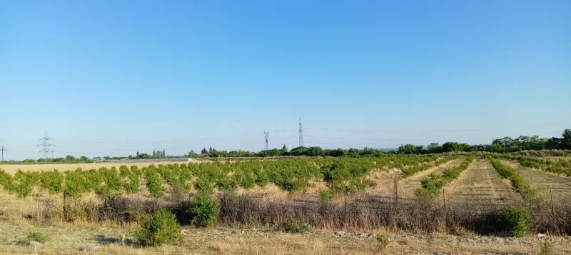 Torpaq satılır — Göyçay — Torpaq, Göyçay (5)