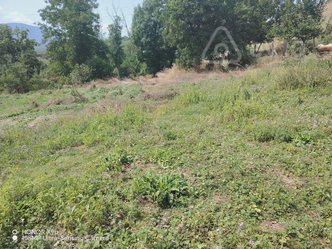 For sale: land, 20 sot — Torpaq, Quba
