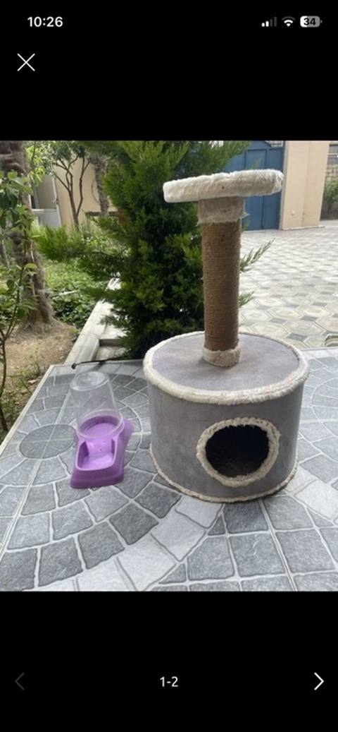 Pişik üçün oyun və istirahət dəsti.yeni kimidir — Мехдиабад