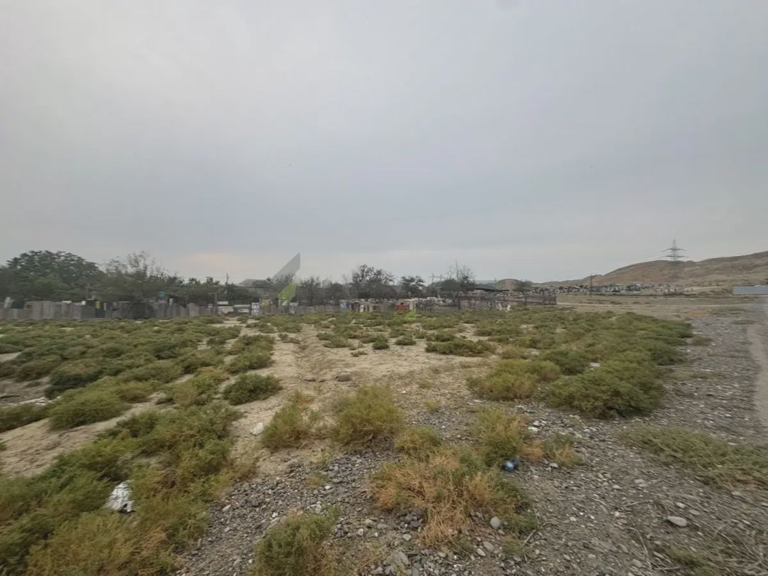 5 sot Torpaq Satılır, Mingəçevir — Torpaq, Mingəçevir (4)
