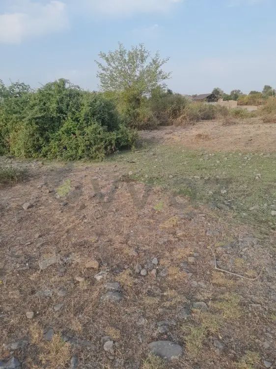 Torpaq satılır Qəbələ ş — Torpaq, Bakı (2)
