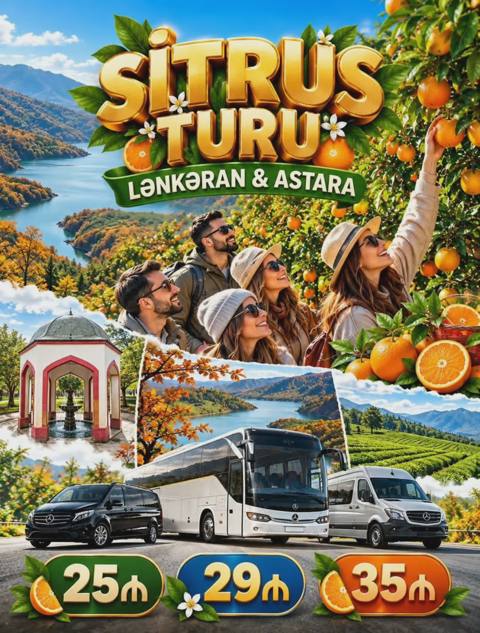 Sitrus turu Lənkəran və Astara