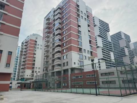 3 otaqlı yeni tikili mənzil satılır — Nəsimi r., Bakı — Пәтер