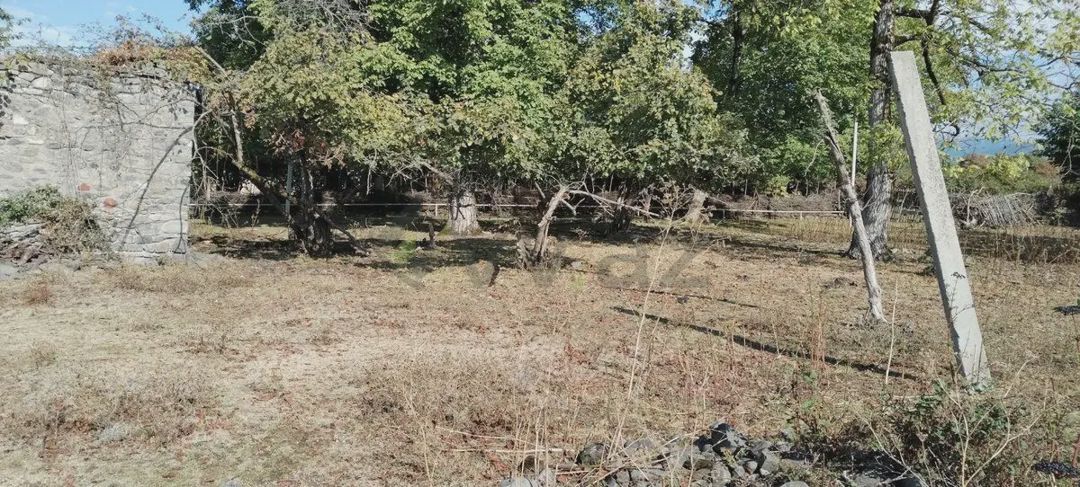 15 sot Torpaq Satılır, Oğuz — Torpaq, Oğuz (7)