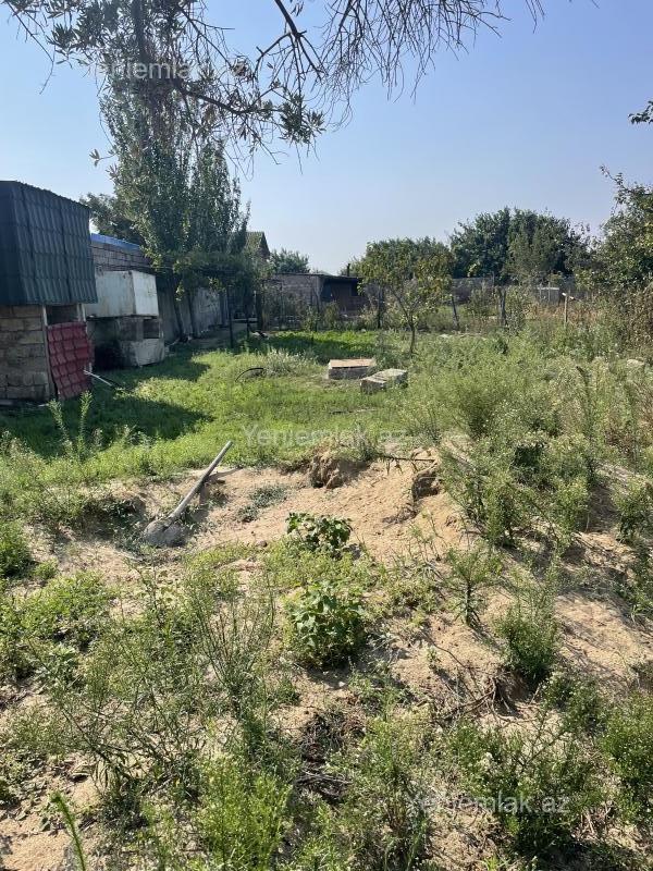 For sale: land, 24 sot — Torpaq, Sumqayıt (7)