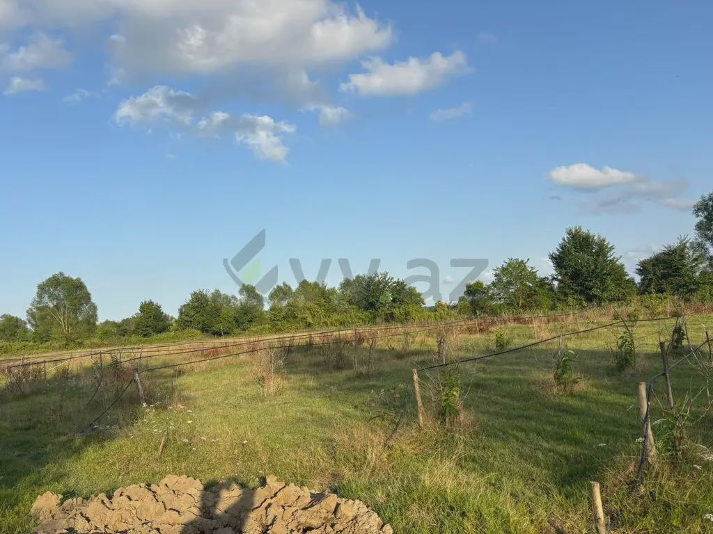 80 sot Torpaq Satılır, Lənkəran — Torpaq, Lənkəran (6)