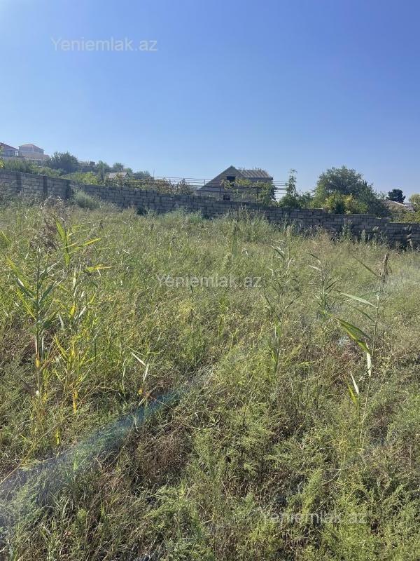 For sale: land, 12 sot — Torpaq, Sumqayıt (7)