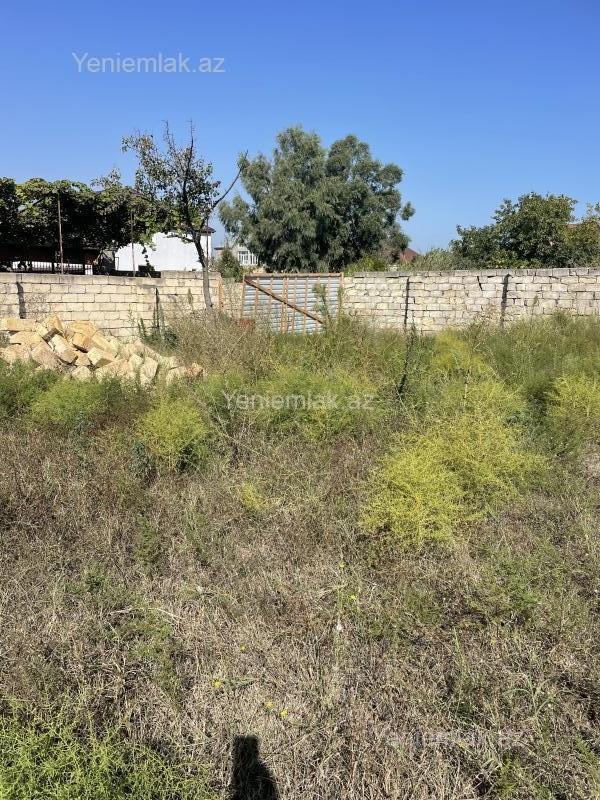 For sale: land, 12 sot — Torpaq, Sumqayıt (3)