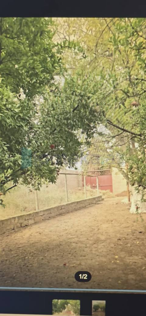 Satılır: Torpaq, Xəzər r., Buzovna q., 4.00 sot — Buzovna