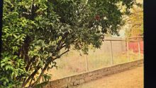 4 sot Torpaq, Satış, Bakı, Xəzər, Koroğlu — Torpaq, Bakı (5)