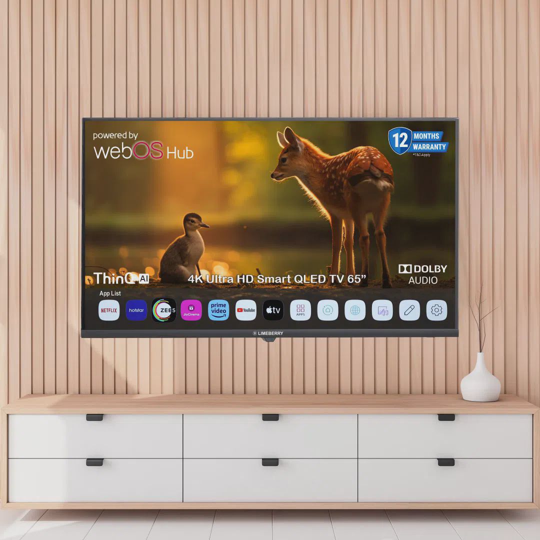 Hoffmann Televizor 65" LED — Televizorlar, Bakı (2)