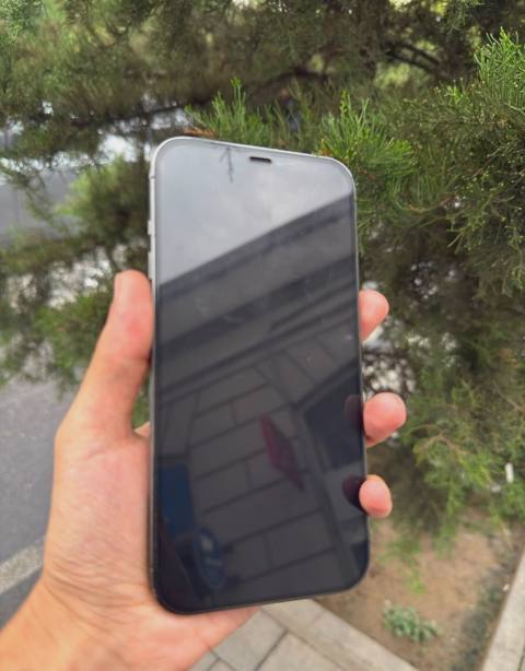 Apple iPhone 12 Pro Max, 6 GB