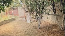 4 sot Torpaq, Satış, Bakı, Xəzər, Koroğlu — Torpaq, Bakı (6)