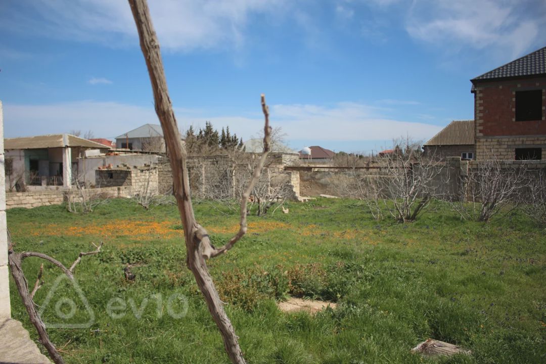 For sale: land, 33 sot — Torpaq, Bakı (7)
