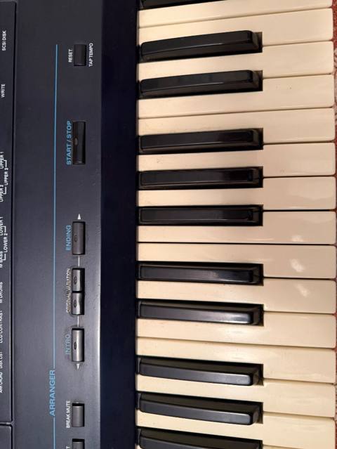 Sintezator, Roland, İşlənmiş — 550 ₼ · Баку · Pianino və digər klaviş alətləri Sintezator, Roland, İşlənmiş — Баку