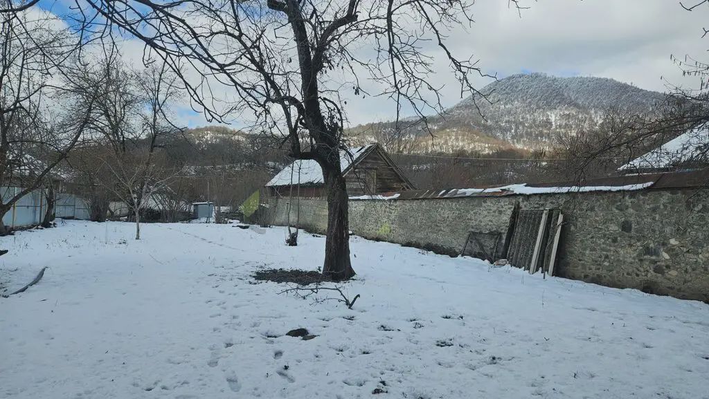 15 sot Torpaq Satılır, Qəbələ — Torpaq, Qəbələ