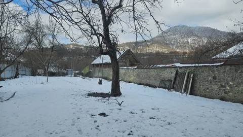 15 sot Torpaq Satılır, Qəbələ — 219 000 ₼ · Gabala · Torpaq 15 sot Torpaq Satılır, Qəbələ — Gabala