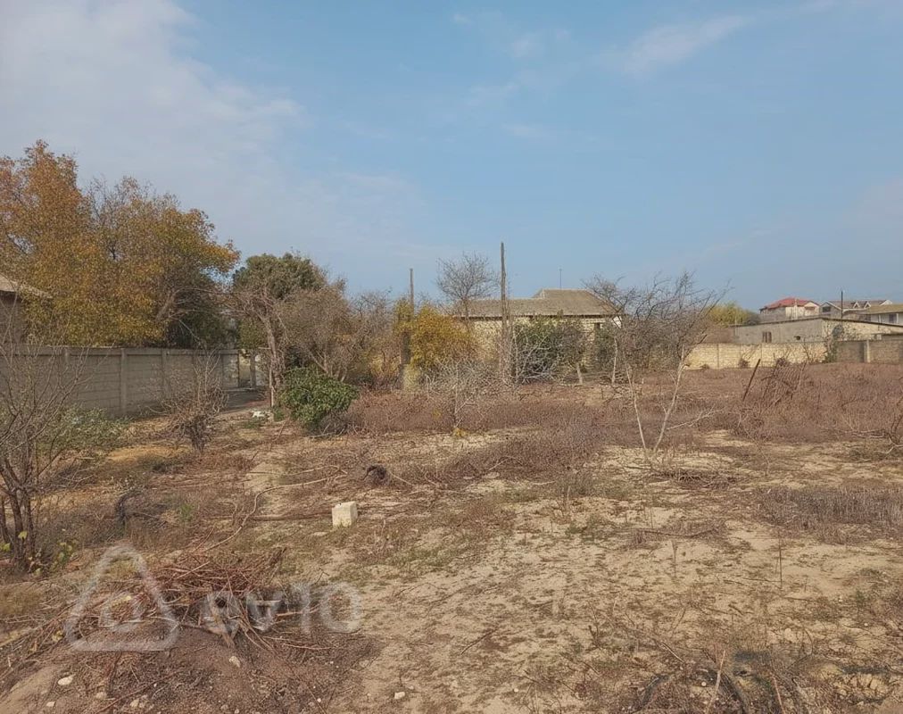 For sale: land, 9 sot — Torpaq, Bakı (5)