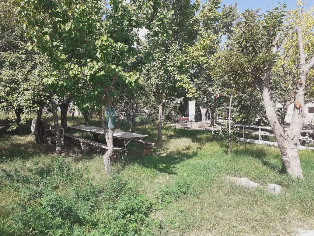 For sale: land, 4 sot — Torpaq, Masazır (2)