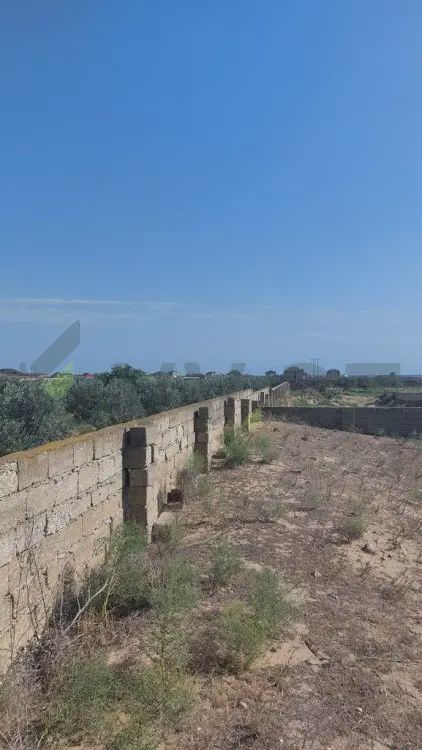 For sale: land, 5 sot — Torpaq, Bakı (6)