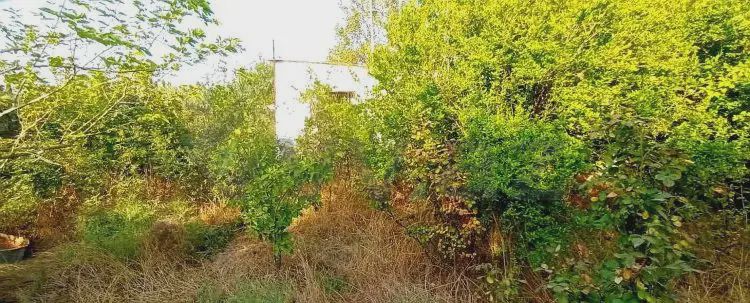 4 otaqlı Həyət evi Satılır, Qobustan — Ev, villa, Qobustan (11)