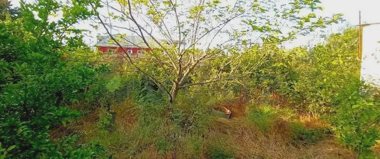 4 otaqlı Həyət evi Satılır, Qobustan — Ev, villa, Qobustan (10)