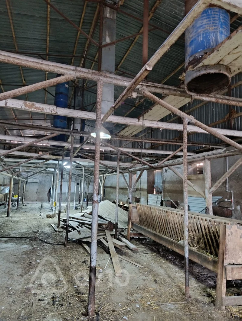 Obyekt, 1200 m², Memmedli qesebesi — kirayə — Əmlak, Bakı (5)