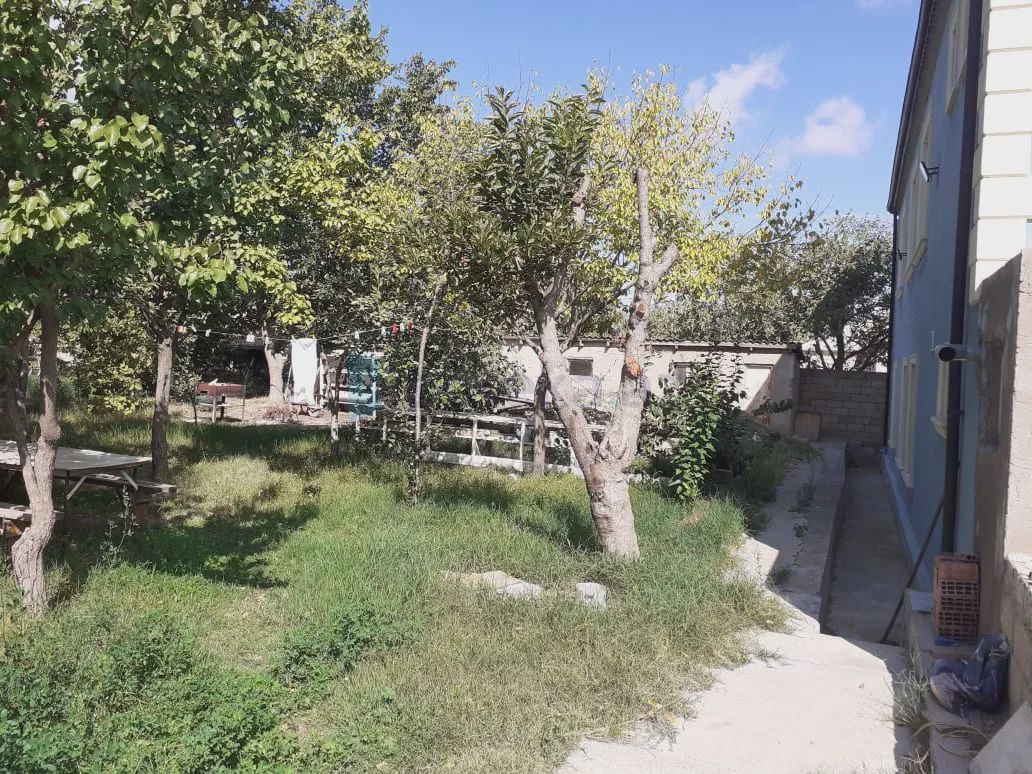 For sale: land, 4 sot — Torpaq, Masazır (4)