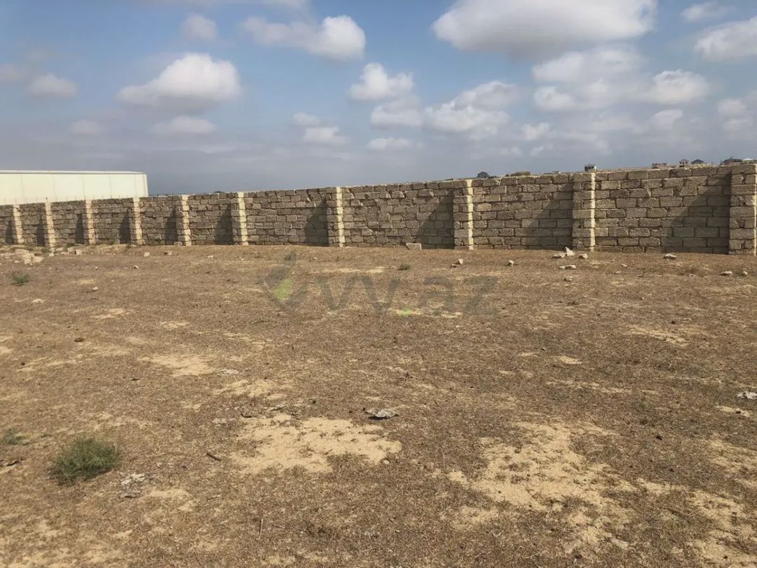 For sale: land, 1200 sot — Torpaq (6)