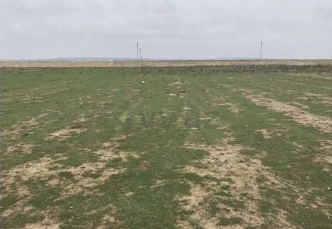 1200 sot Torpaq Satılır, Aşağı Güzdək, Abşeron
