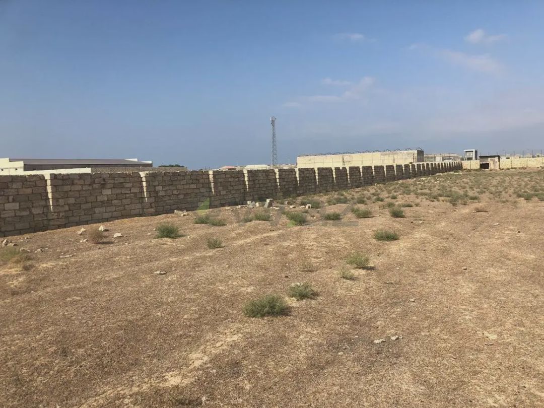 For sale: land, 1200 sot — Torpaq (4)
