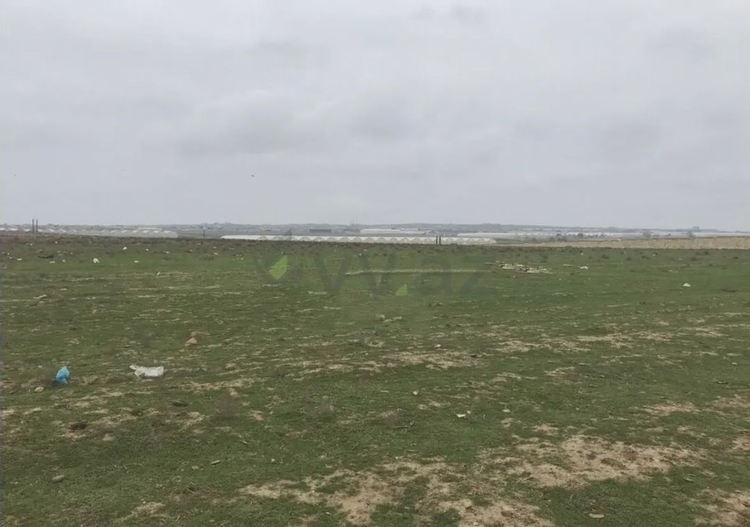 For sale: land, 1200 sot — Torpaq (3)