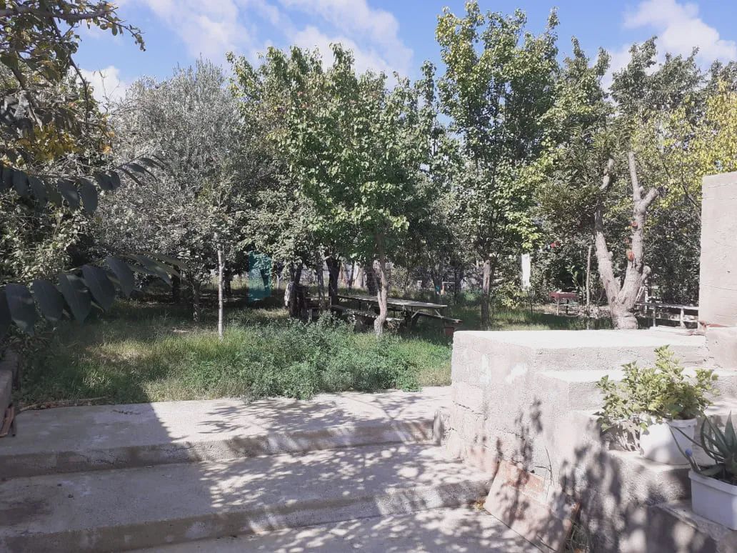 For sale: land, 4 sot — Torpaq, Masazır (3)