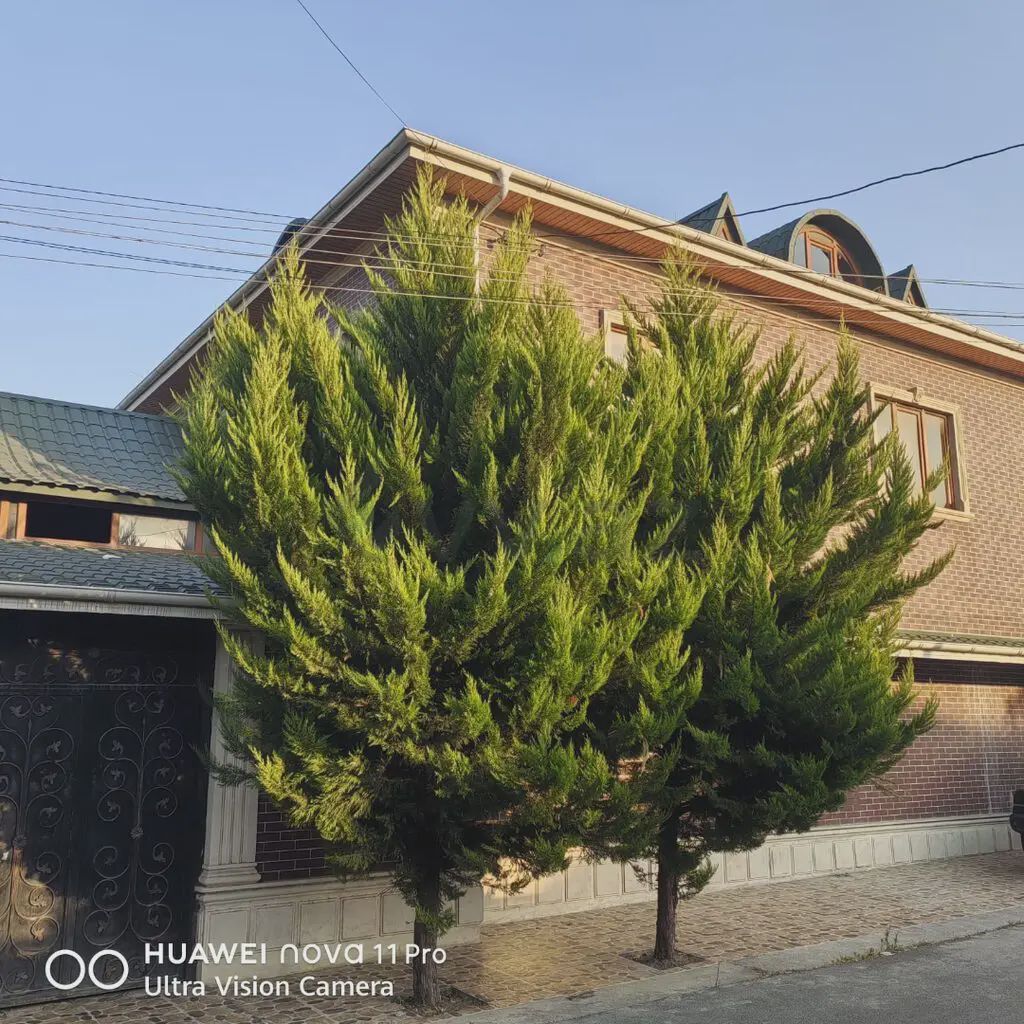 For sale: 4-room house / Cottage / Villa, 450 m² — Ev, villa, Xaçmaz (11)