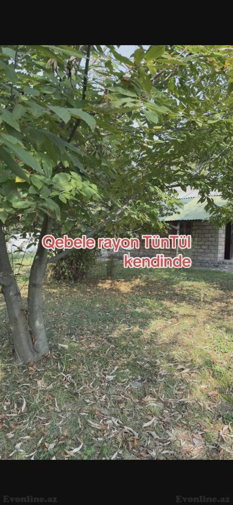 Torpaq satılır — Qəbələ — 22 ₼ · Gabala · Torpaq Torpaq satılır — Qəbələ — Gabala