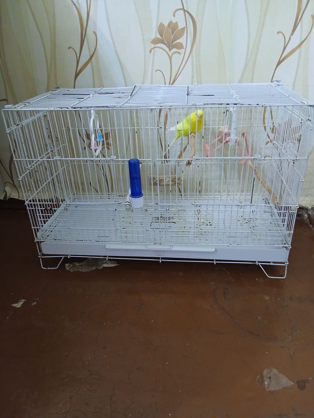 Satılır 30 m — Qəfəslər, Ceyranbatan (3)