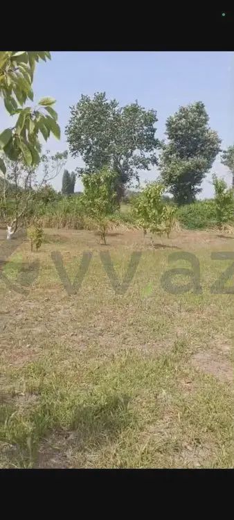 For sale: land, 22 sot — Torpaq, Xaçmaz (5)